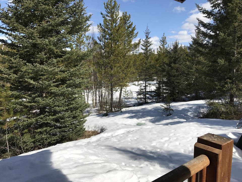 Winter view off back deck