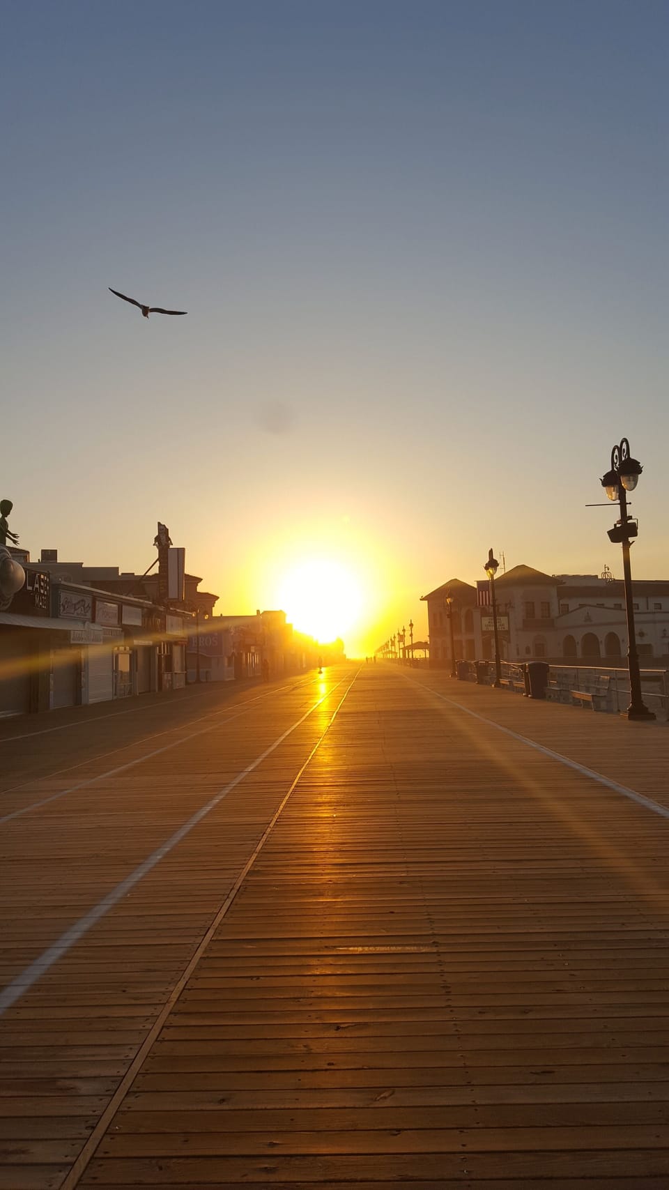 Sunrise on the boardwalk