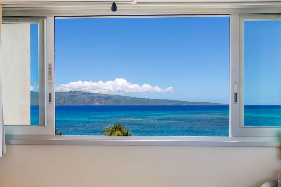 View out the bedroom window