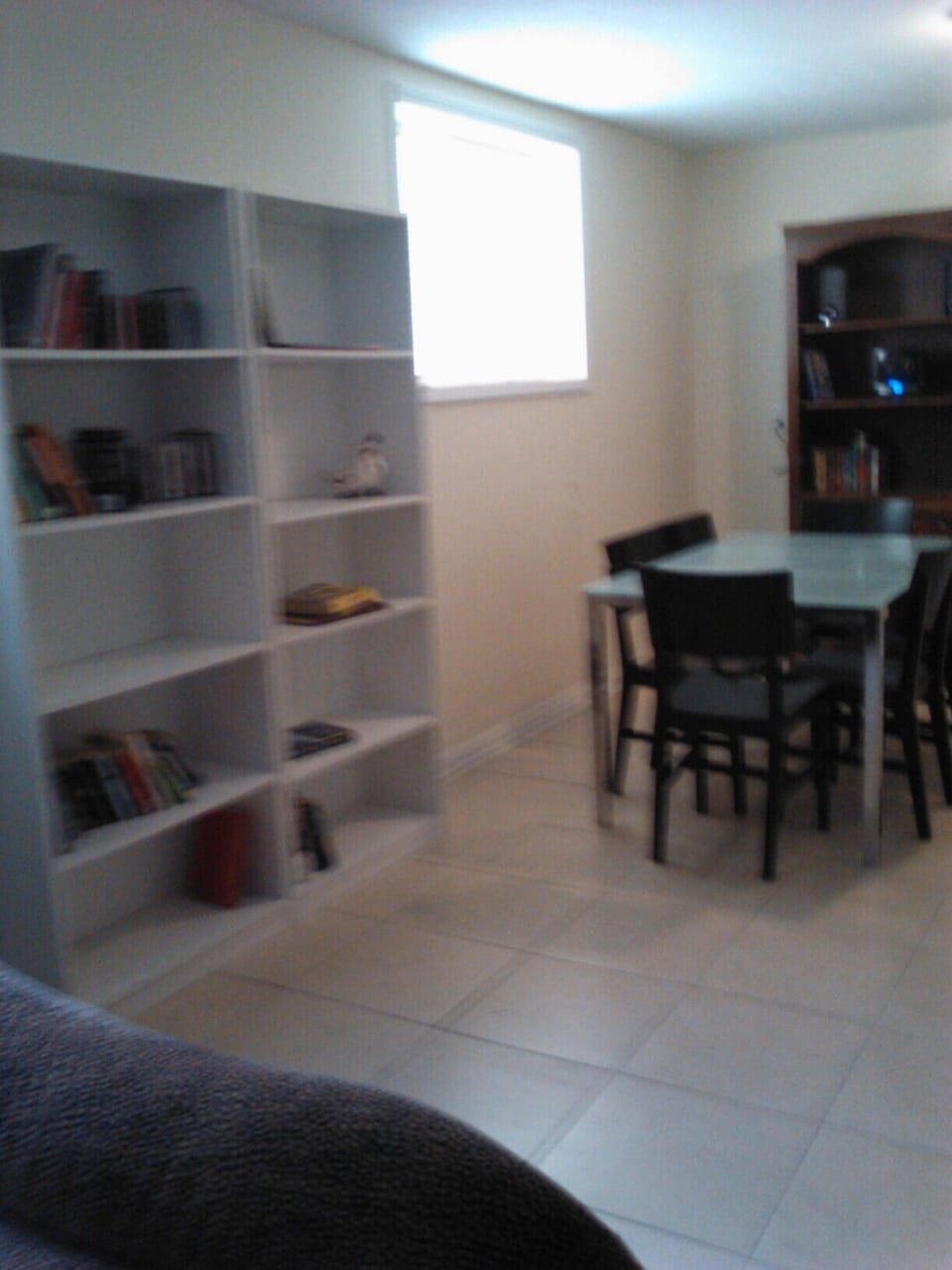Chill Room - Book Cases and Table - a little blurry