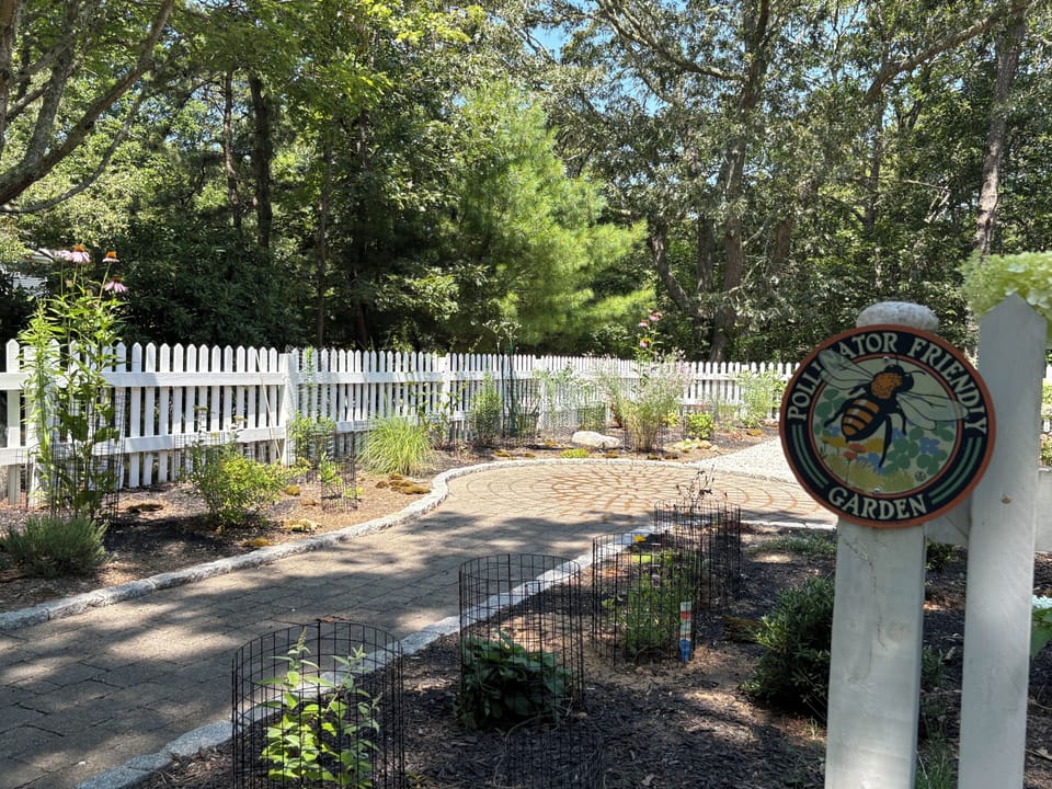 Front yard pollinator garden