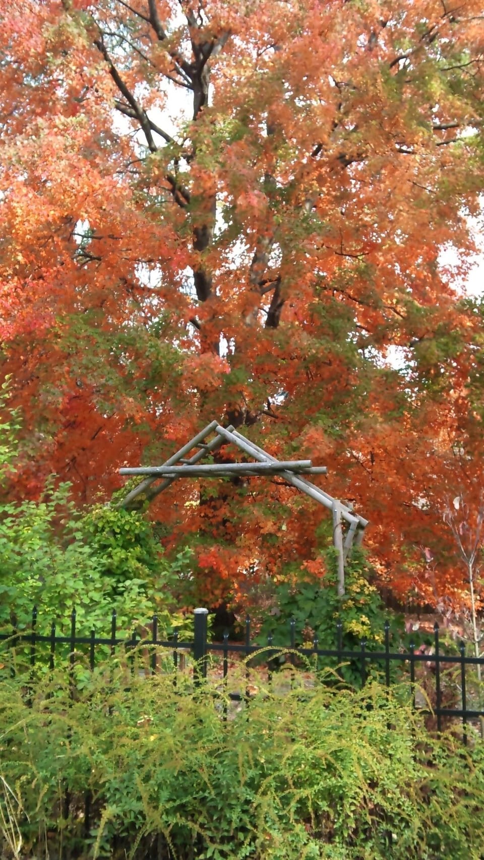 Fall is such a beautiful season to enjoy MI!