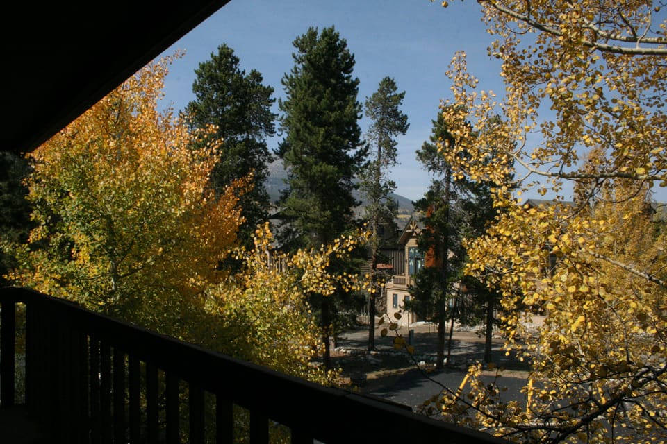 View from back porch