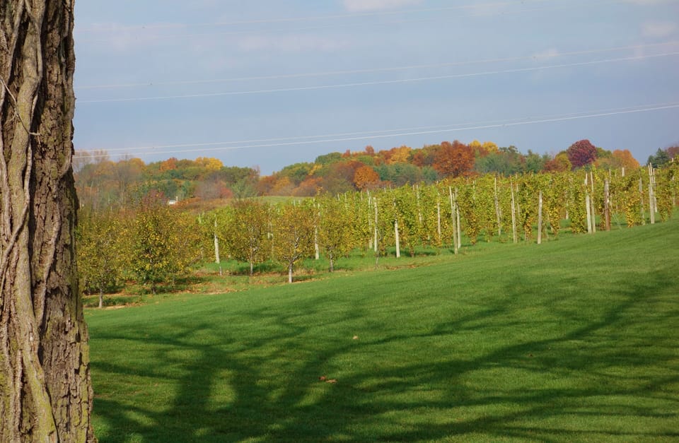 Autumn is a beautiful season in Harbor Country.