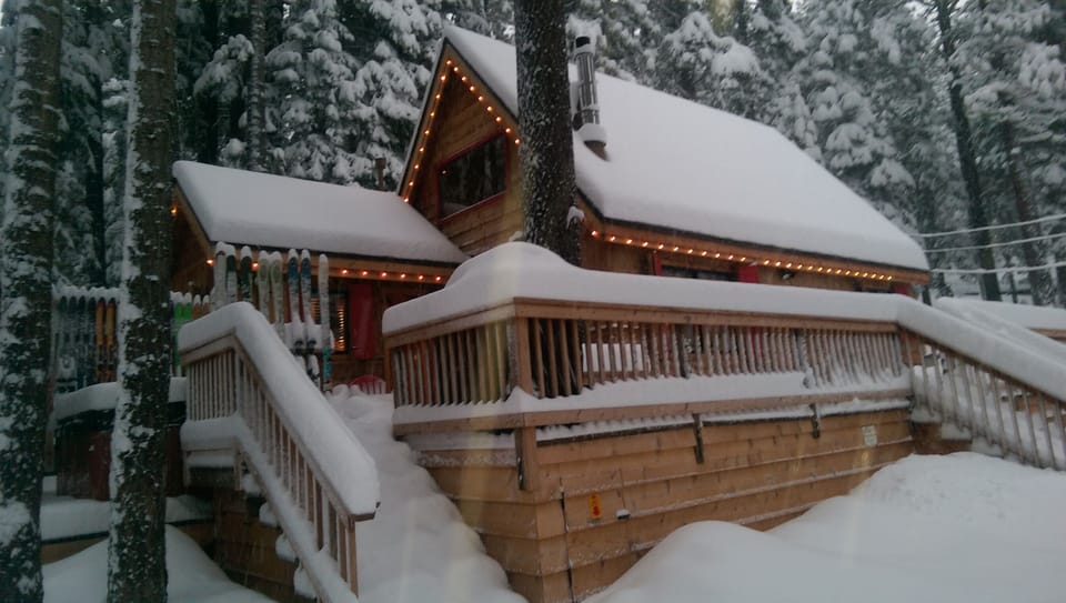 Front view in Winter