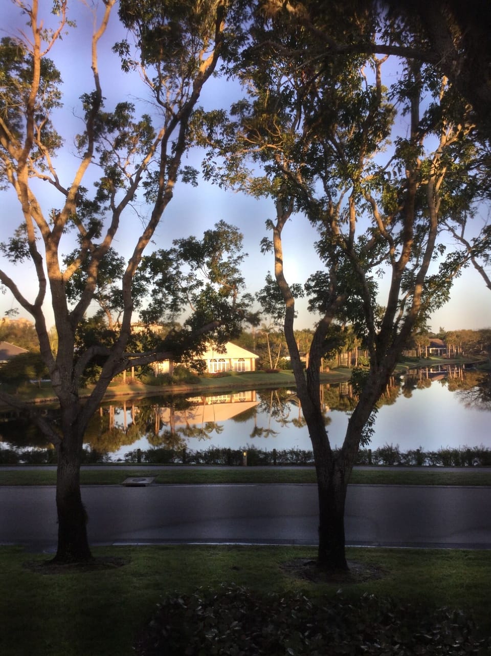 View from back lanai