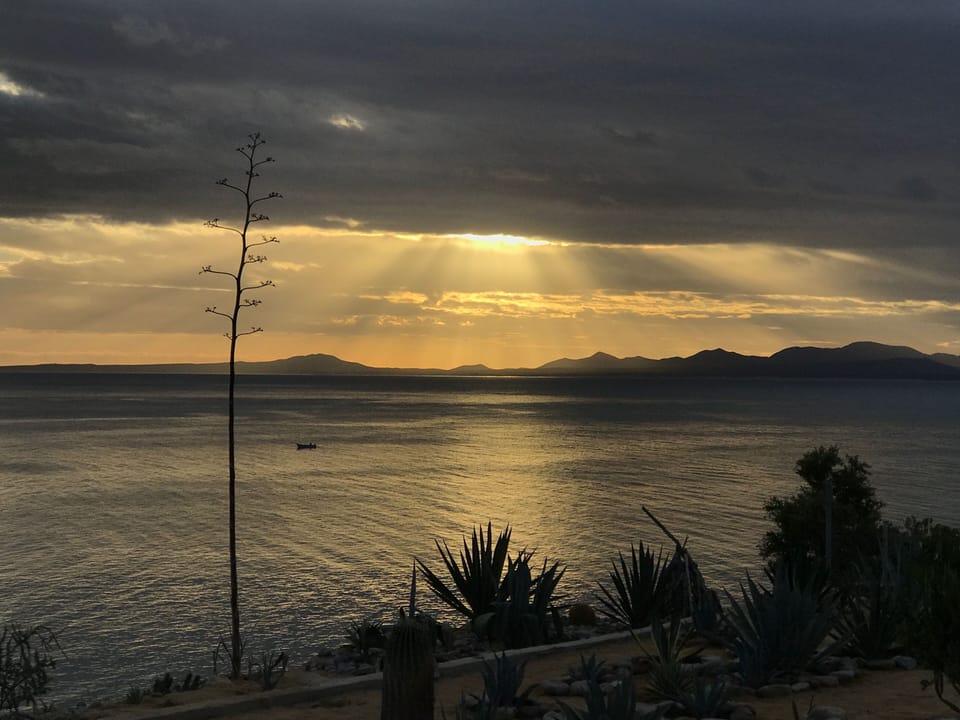 Sunrise