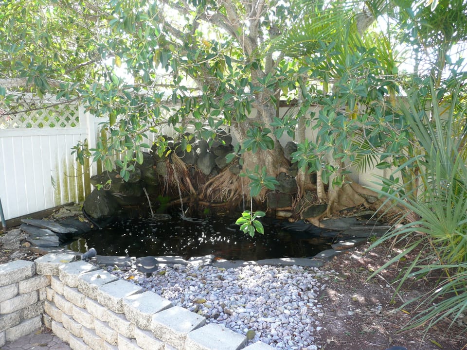 Pond with running water