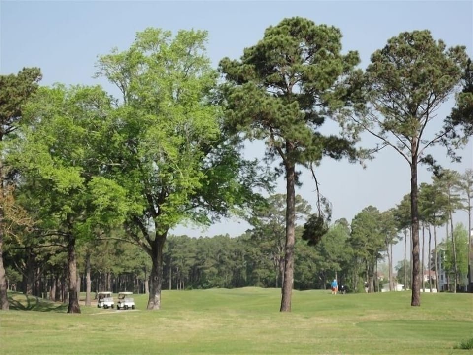 Golf Course - So close to the course you can help the golfers find their balls.