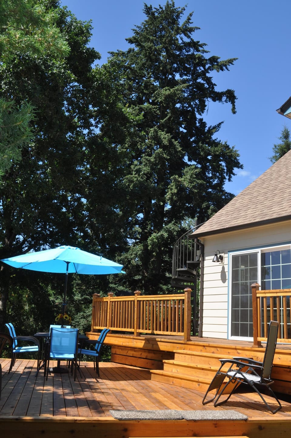 The R.V. Short State Heritage Tree stands next to the Cottage.