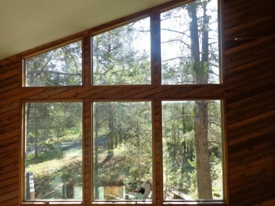 Living room windows