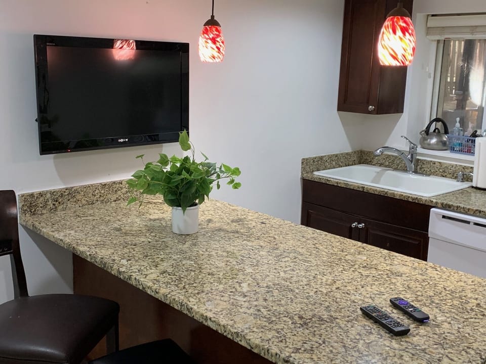 Kitchen counter, flat screen smart TV in kitchen