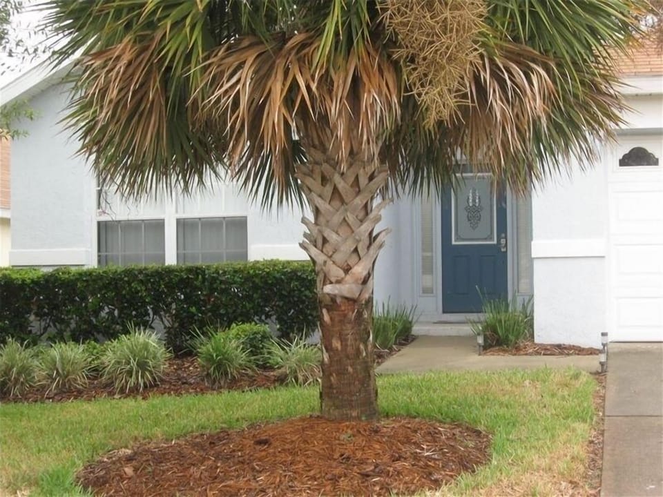 Front house 