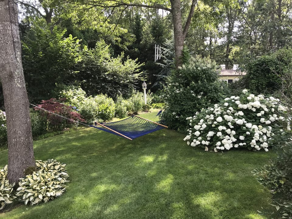 Hammock in backyard,