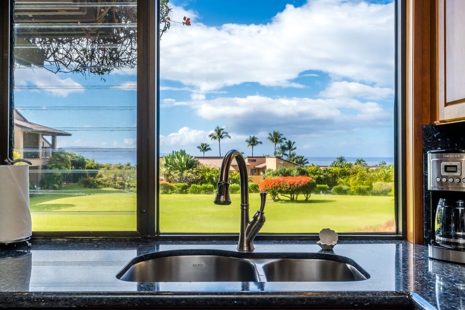 View from Kitchen 