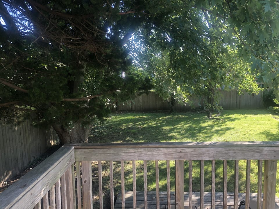 Morning view, you can always find shade.