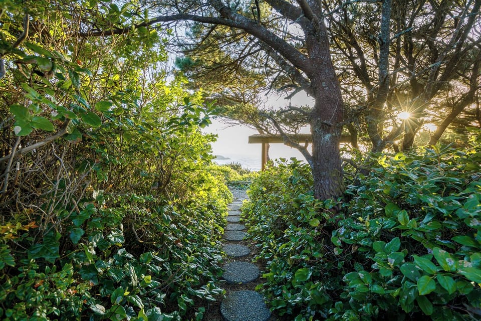 Path leading to bench on our bluff.