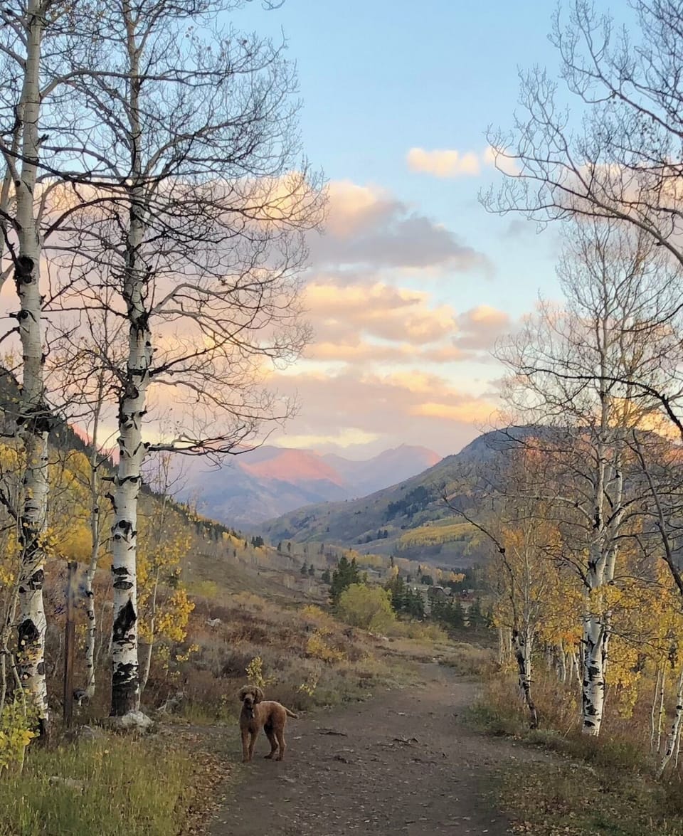 Woods Walk -- a favorite hike near town