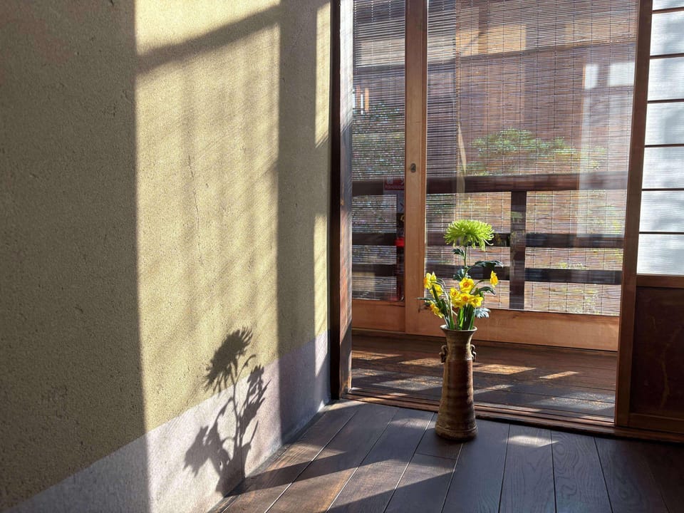 Seasonal flowers that brighten up the room