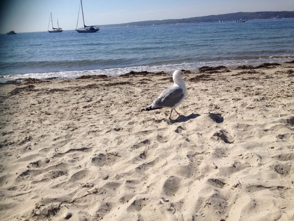 Beach