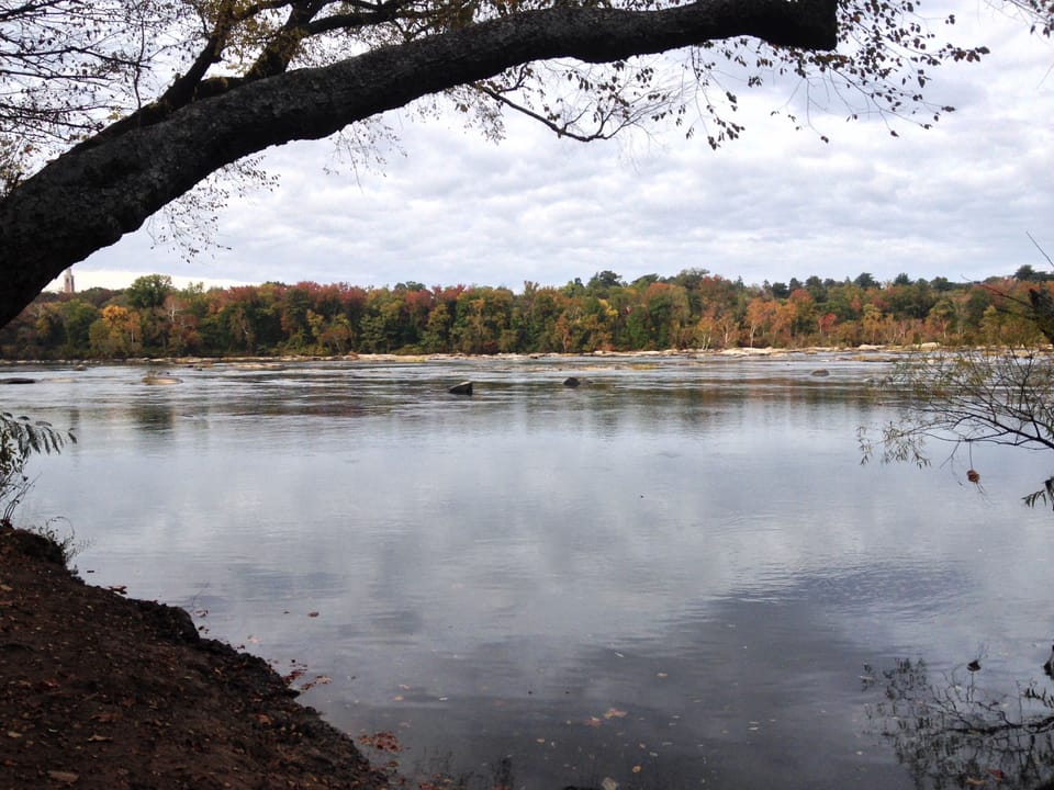 Walk or bike down to the James River Park System.