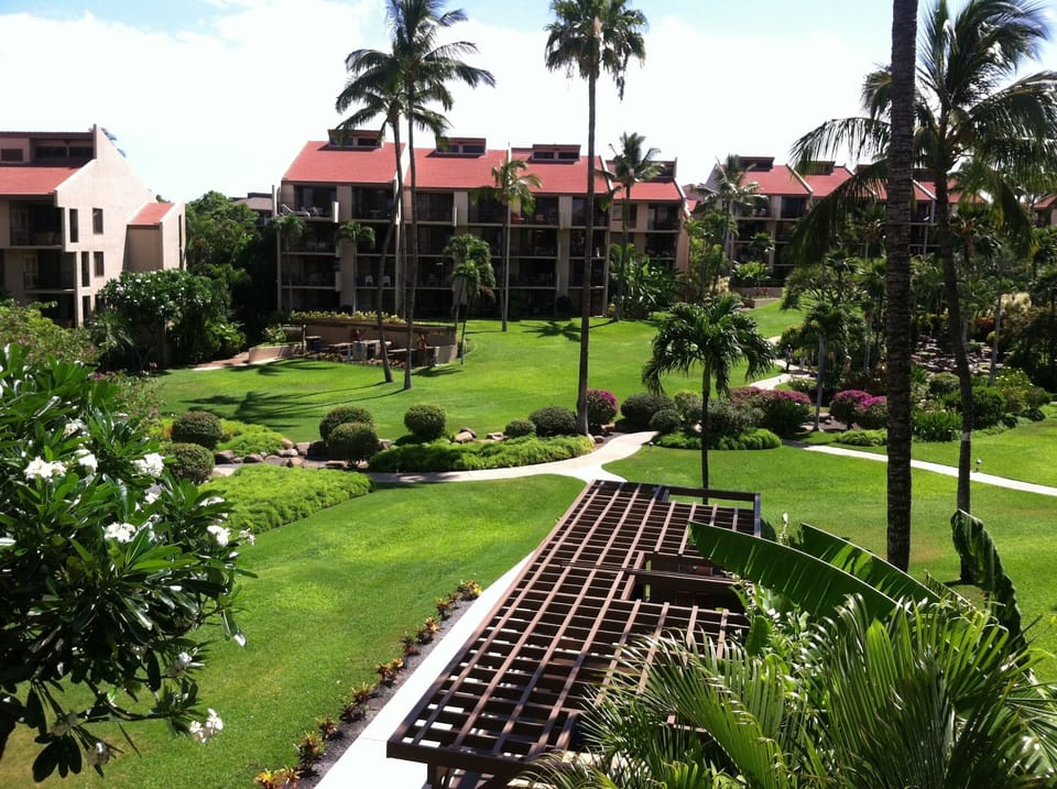 Inner garden area and BBQs