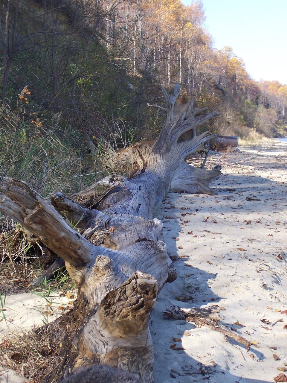 The Beach is Ever-changing