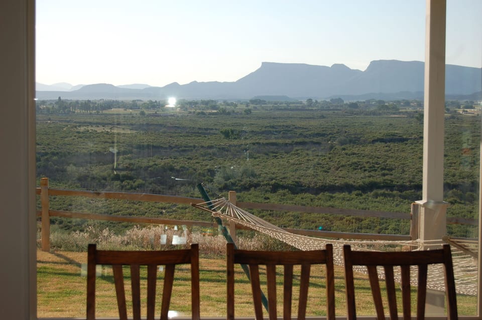 Views out of window from kitchen / dining room