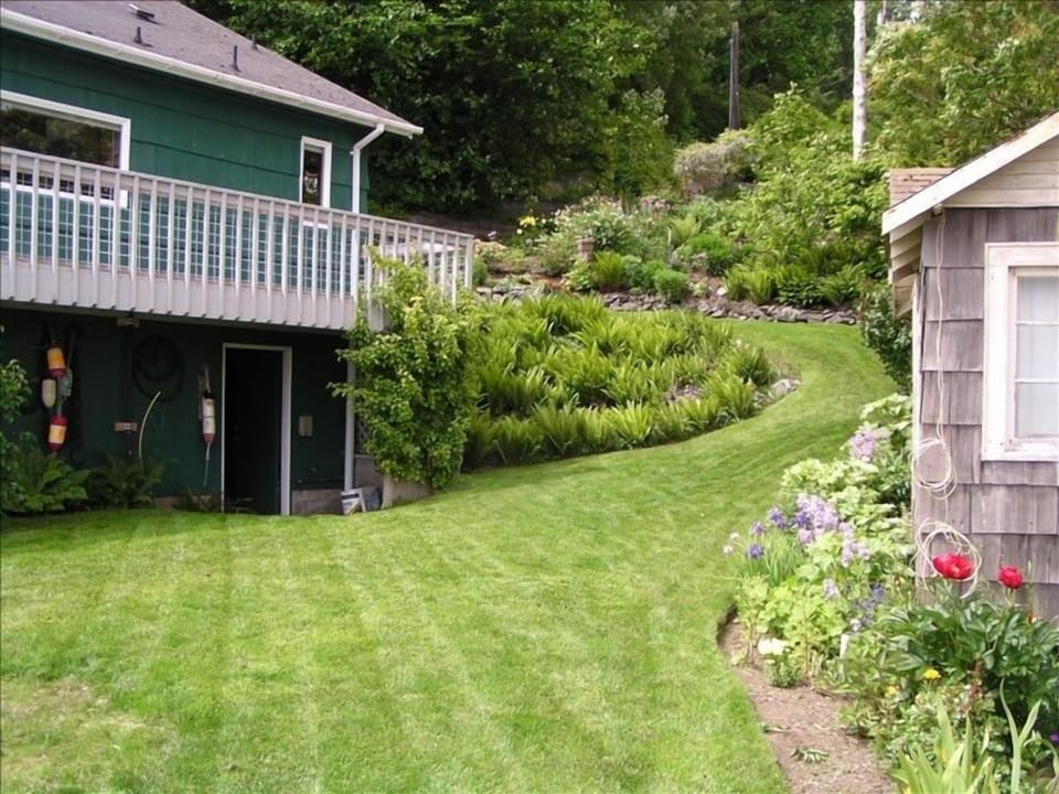 Yard area next to beach