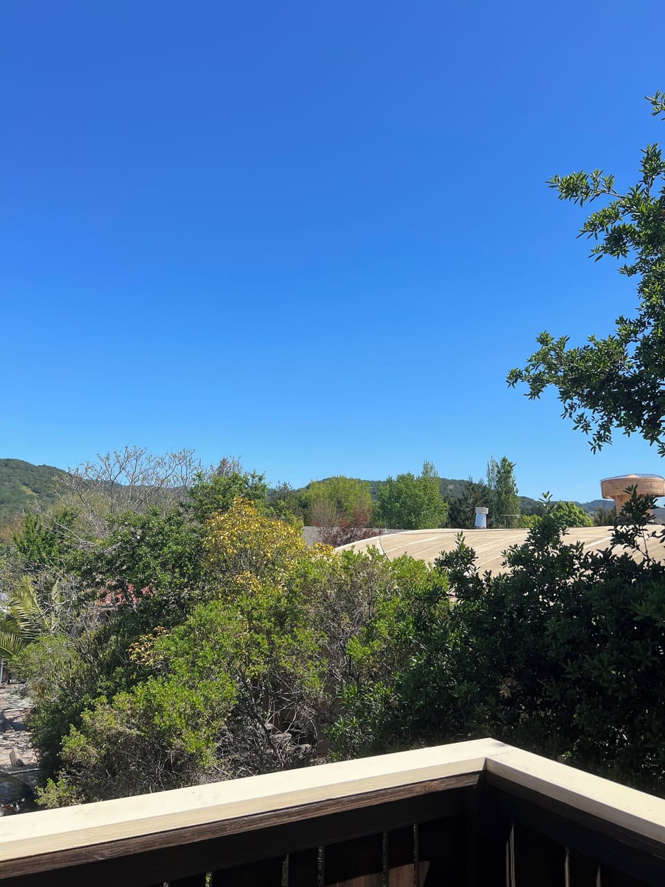 View from balcony 