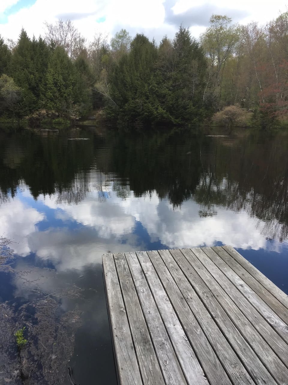 Swimming pond with row boat and raft