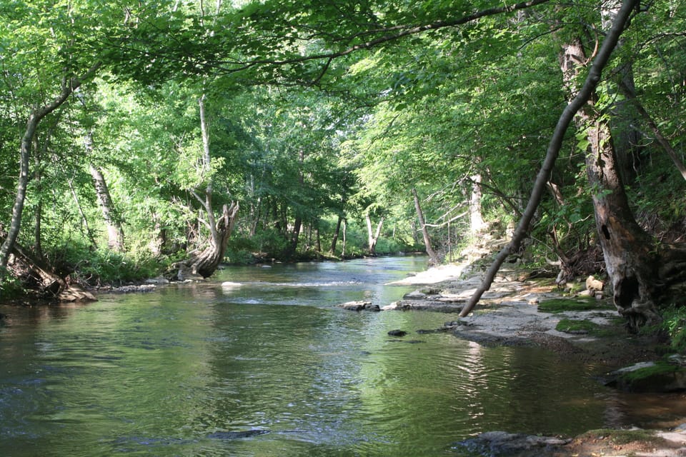 Jones Creek that runs along the back of the property.