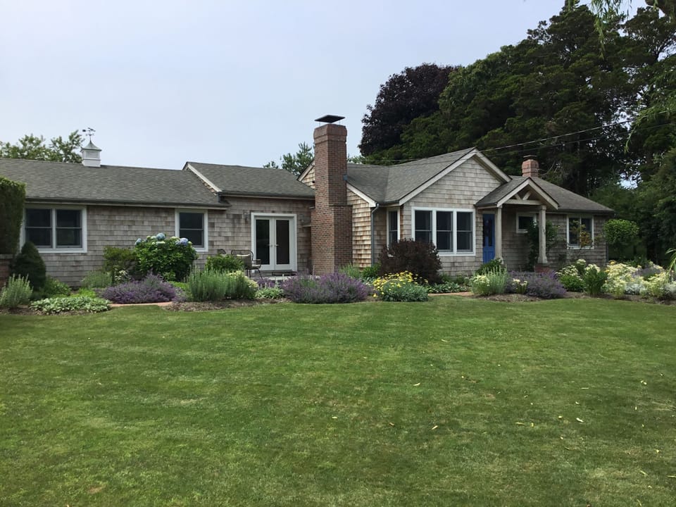 Front yard 