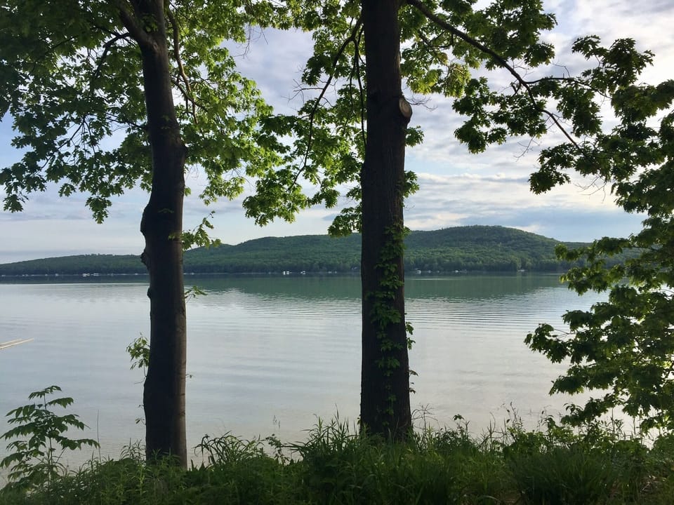 Beautiful view from open Living Room