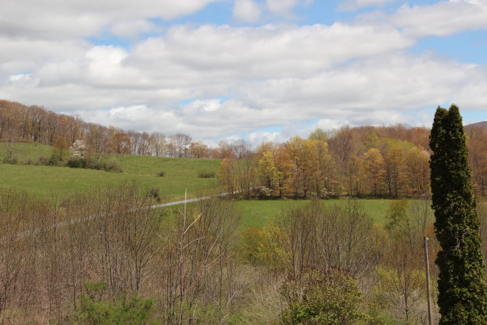 View from the front porch looking northeast.