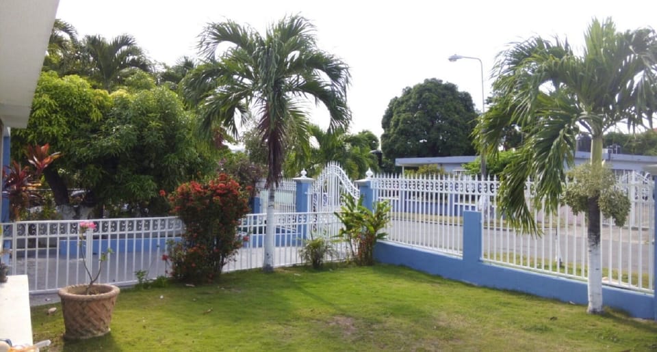 Tropical Garden