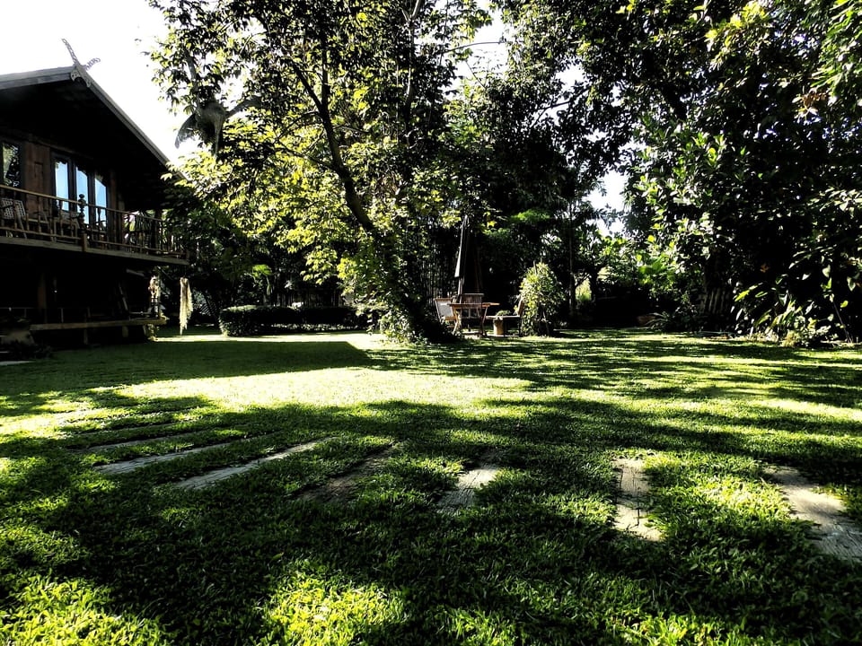Rice Barn and Rooms near Chiang Mai