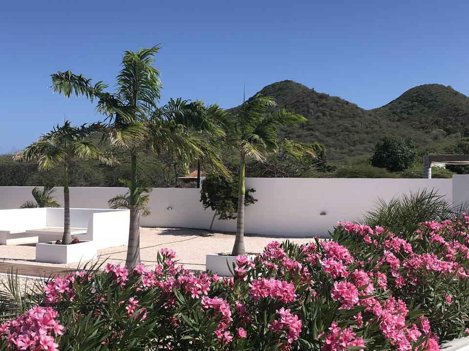 garden with mountain view
