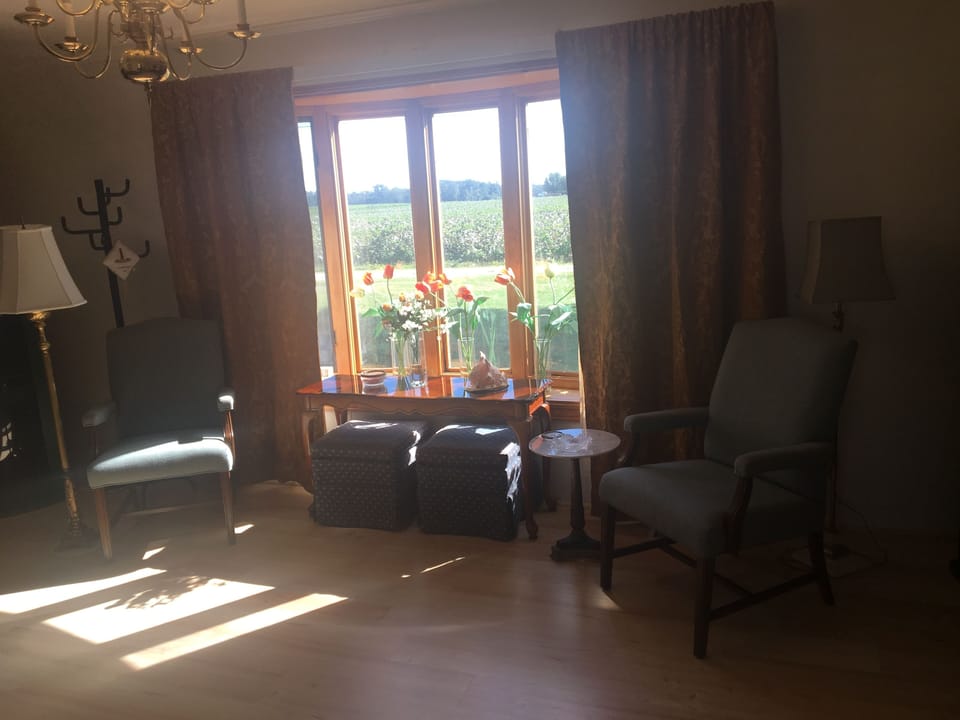 A 100 acres farm view from the front bay window