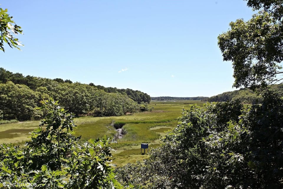Wonderful marsh views