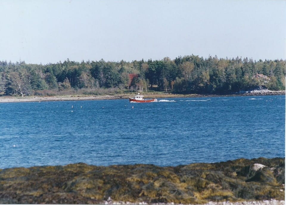 View from yard