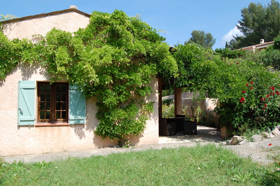 Rear Terrace and Salon
