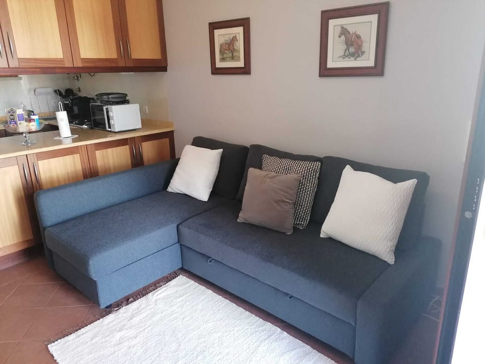 Sala de estar com novo sofá-cama