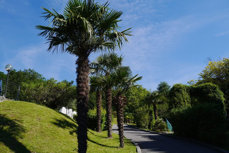 Grounds