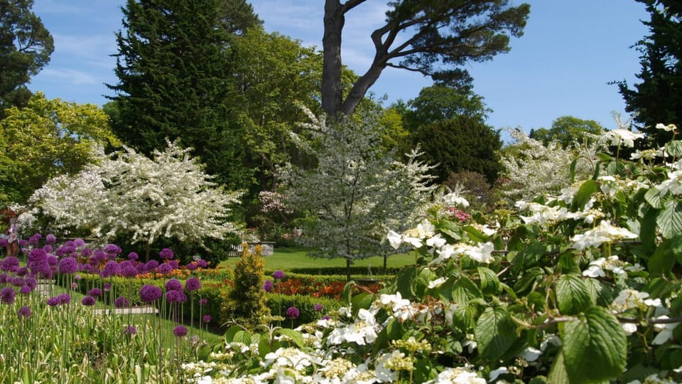 Bodnant Garden 