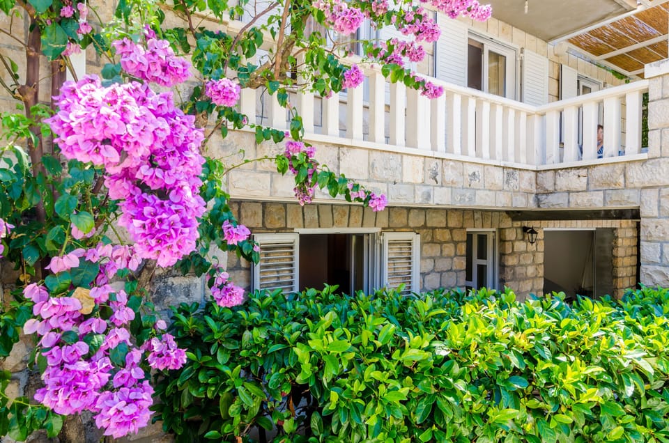 Window and entrance door to the studio apartment