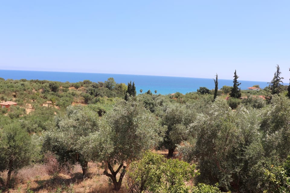 Sea view