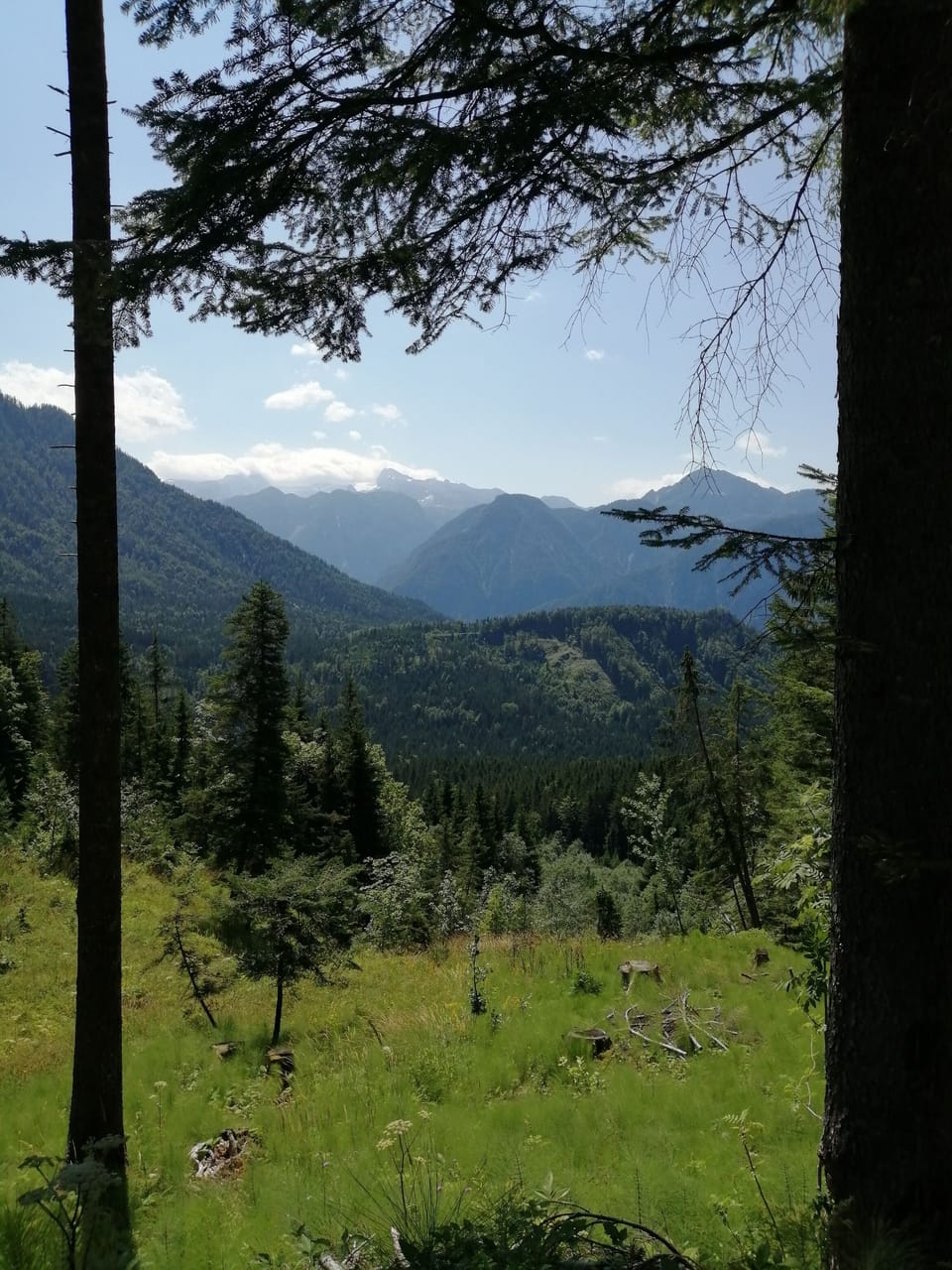 View from property