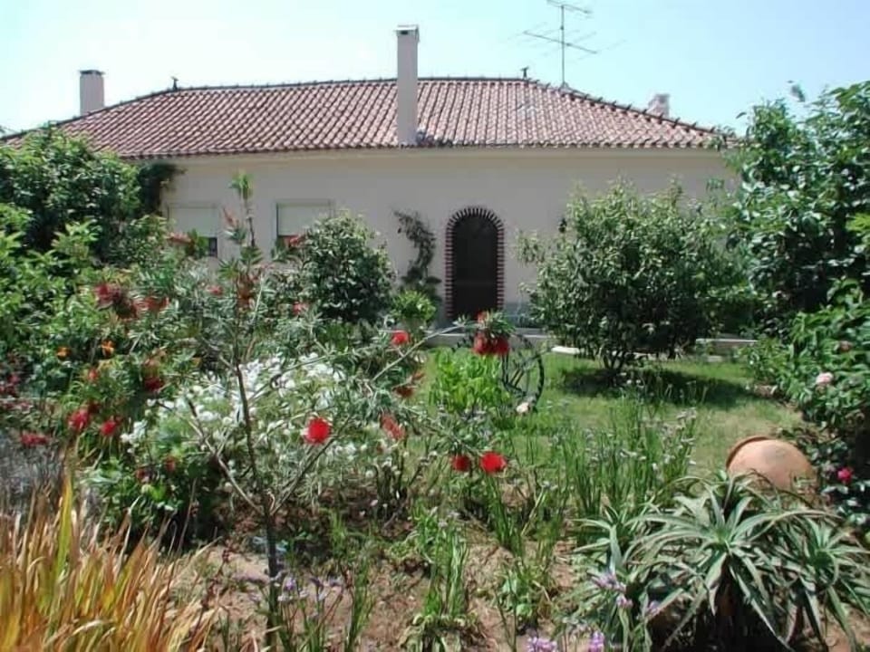 Rustic House