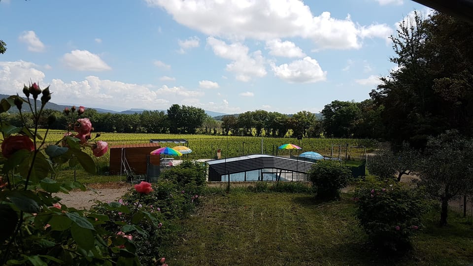 View from property
